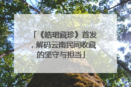 《皓珺藏珍》首发，解码云南民间收藏的坚守与担当