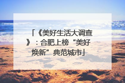 《美好生活大调查》：合肥上榜“美好焕新”典范城市