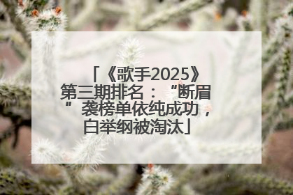《歌手2025》第三期排名：“断眉”袭榜单依纯成功，白举纲被淘汰