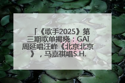 《歌手2025》第三期歌单揭晓：GAI周延唱汪峰《北京北京》，马嘉祺唱S.H.E《你曾是少年》
