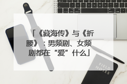 《藏海传》与《折腰》：男频剧、女频剧都在“爱”什么