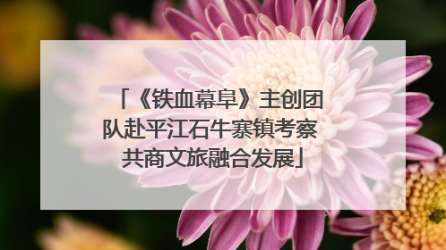 《铁血幕阜》主创团队赴平江石牛寨镇考察 共商文旅融合发展