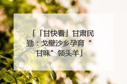 「甘快看」甘肃民勤：戈壁沙乡孕育“甘味”领头羊