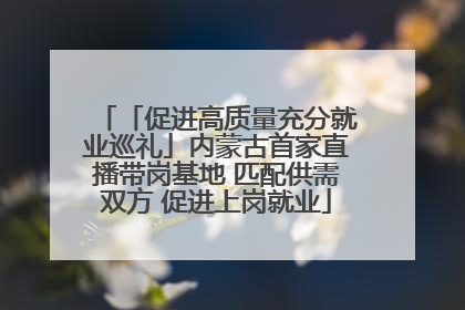 「促进高质量充分就业巡礼」内蒙古首家直播带岗基地 匹配供需双方 促进上岗就业