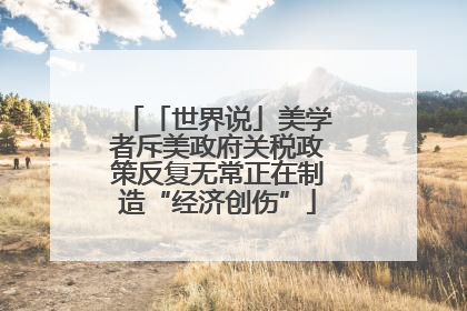 「世界说」美学者斥美政府关税政策反复无常正在制造“经济创伤”