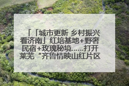 「城市更新 乡村振兴看济南」红培基地+野奢民宿+玫瑰秘境……打开莱芜“齐鲁情映山红片区”的破圈秘籍