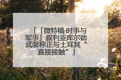 「微特稿·时事与军事」叙利亚库尔德武装称正与土耳其“直接接触”