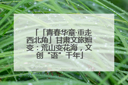 「青春华章·重走西北角」甘肃文旅嬗变：荒山变花海，文创“语”千年