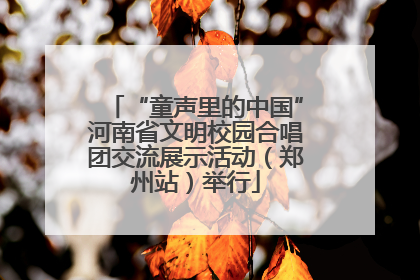 “童声里的中国”河南省文明校园合唱团交流展示活动（郑州站）举行