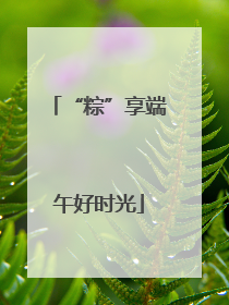 “粽”享端午好时光