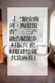 “粮安商河・陶梨留香”：三产融合赋能乡村振兴 跨村联建绘就共富画卷