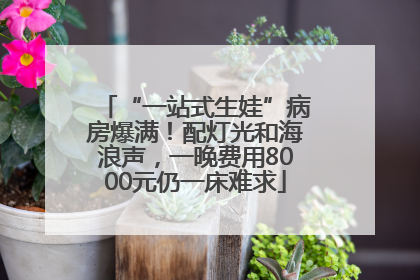 “一站式生娃”病房爆满！配灯光和海浪声，一晚费用8000元仍一床难求