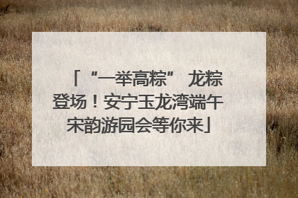 “一举高粽” 龙粽登场！安宁玉龙湾端午宋韵游园会等你来