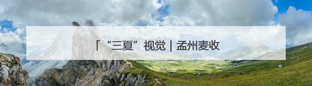 “三夏”视觉｜孟州麦收正当时 机械减损保归仓