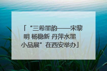 “三希墨韵——宋黎明 杨稳新 丹萍水墨小品展”在西安举办