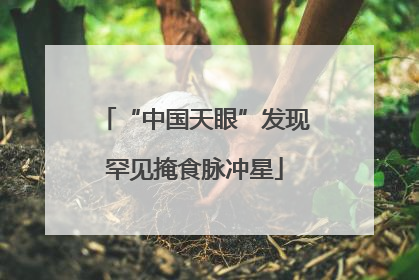 “中国天眼”发现罕见掩食脉冲星