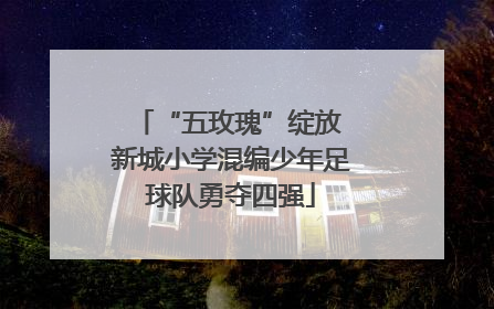 “五玫瑰”绽放 新城小学混编少年足球队勇夺四强