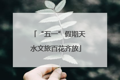 “五一”假期天水文旅百花齐放