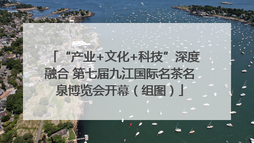 “产业+文化+科技”深度融合 第七届九江国际名茶名泉博览会开幕（组图）