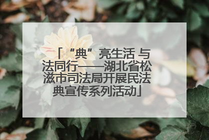 “典”亮生活 与法同行——湖北省松滋市司法局开展民法典宣传系列活动