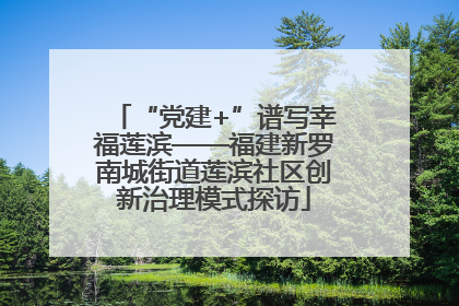 “党建+”谱写幸福莲滨——福建新罗南城街道莲滨社区创新治理模式探访