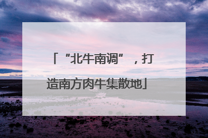 “北牛南调”，打造南方肉牛集散地