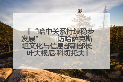 “哈中关系持续稳步发展”——访哈萨克斯坦文化与信息部副部长叶夫根尼·科切托夫