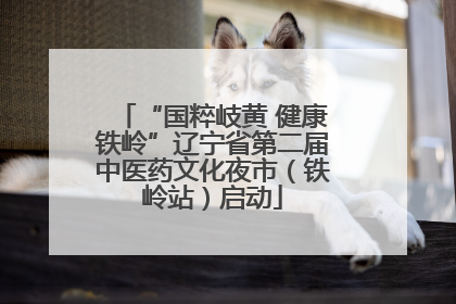 “国粹岐黄 健康铁岭”辽宁省第二届中医药文化夜市（铁岭站）启动