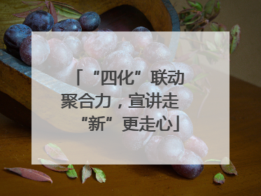 “四化”联动聚合力，宣讲走“新”更走心