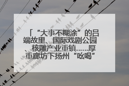 “大事不糊涂”的吕端故里、国际戏剧公园、核雕产业重镇……厚重廊坊下扬州“吆喝”优质文旅资源