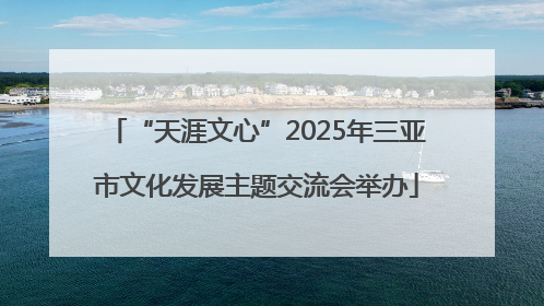 “天涯文心”2025年三亚市文化发展主题交流会举办