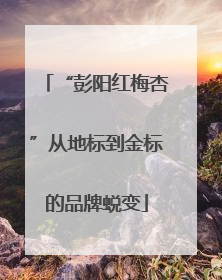“彭阳红梅杏”从地标到金标的品牌蜕变