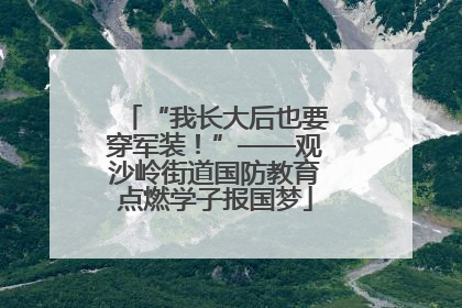 “我长大后也要穿军装！”——观沙岭街道国防教育点燃学子报国梦