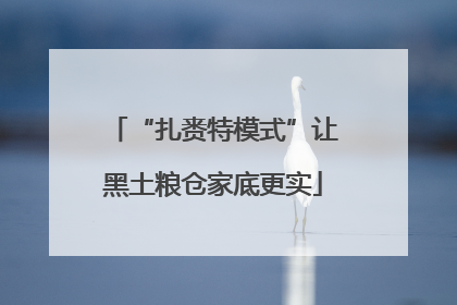 “扎赉特模式”让黑土粮仓家底更实