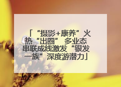 “摄影+康养”火热“出圈” 多业态串联成线激发“银发一族”深度游潜力
