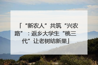 “新农人”共筑“兴农路”：返乡大学生“桃三代”让老树结新果