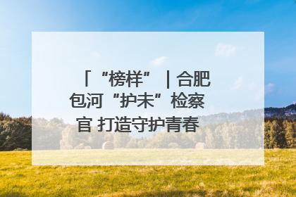 “榜样”｜合肥包河“护未”检察官 打造守护青春成长的永恒灯塔