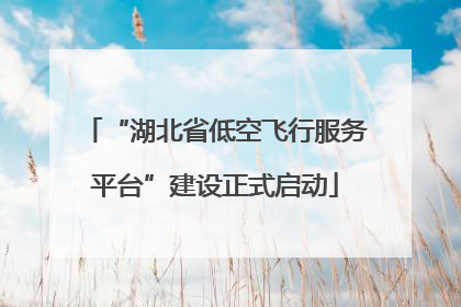 “湖北省低空飞行服务平台”建设正式启动