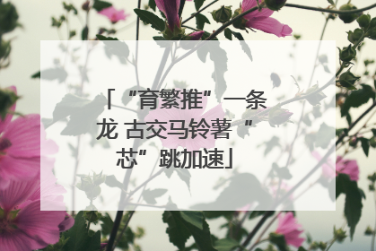 “育繁推”一条龙 古交马铃薯“芯”跳加速