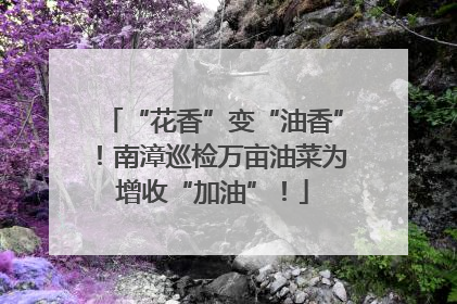 “花香”变“油香”！南漳巡检万亩油菜为增收“加油”！
