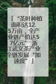 “茶叶种植面积达12.5万亩，全产业链产值达57亿元” 浙江武义茶产业全链发展“加速度”