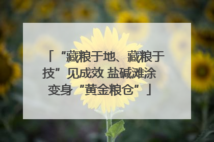 “藏粮于地、藏粮于技”见成效 盐碱滩涂变身“黄金粮仓”