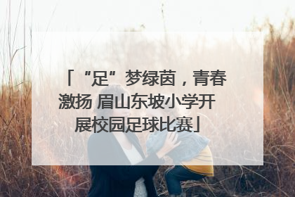 “足”梦绿茵，青春激扬 眉山东坡小学开展校园足球比赛