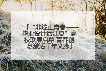 “非遗正青春——毕业设计话江夏”高校联展启幕 青春创意激活千年文脉