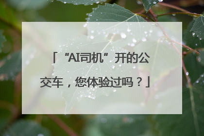 “AI司机”开的公交车，您体验过吗？