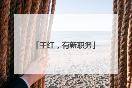 王红，有新职务