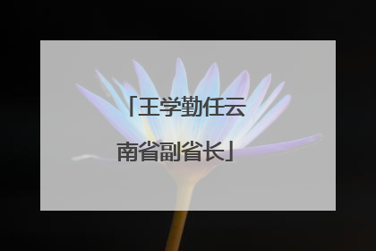 王学勤任云南省副省长