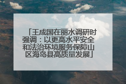 王成国在丽水调研时强调：以更高水平安全和法治环境服务保障山区海岛县高质量发展