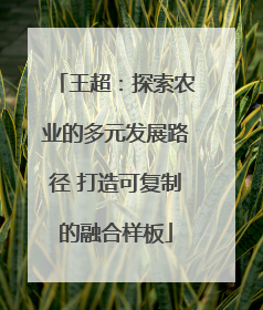 王超：探索农业的多元发展路径 打造可复制的融合样板