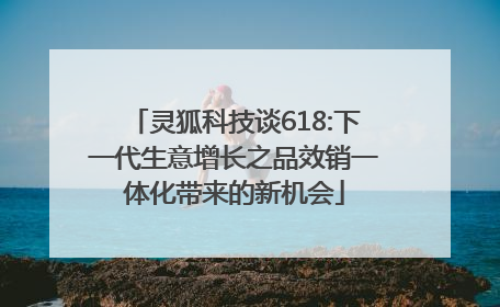 灵狐科技谈618:下一代生意增长之品效销一体化带来的新机会